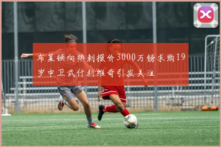 布莱顿向热刺报价3000万镑求购19岁中卫武什科维奇引发关注