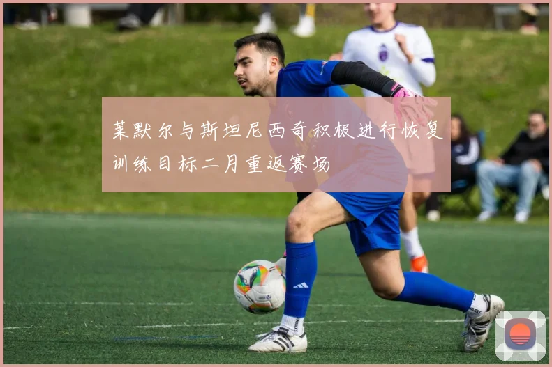 莱默尔与斯坦尼西奇积极进行恢复训练目标二月重返赛场